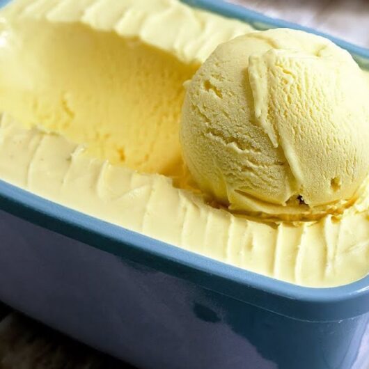 13 Receitas de Sorvete Fáceis e Cremosos Para Refrescar No Calor 1 Sorvete de Milho Verde Caseiro Cremoso e Natural