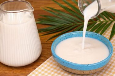 Garrafa de vidro com leite de coco caseiro branco e cremoso ao lado de pedaços de coco seco.