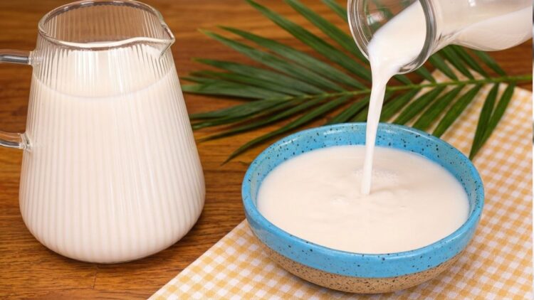 Garrafa de vidro com leite de coco caseiro branco e cremoso ao lado de pedaços de coco seco.
